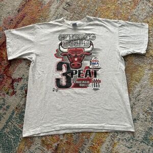 Vintage 1993 Chicago Bulls 3-Peat NBA Finals Salem T-Shirt XL Gray Single Stitch